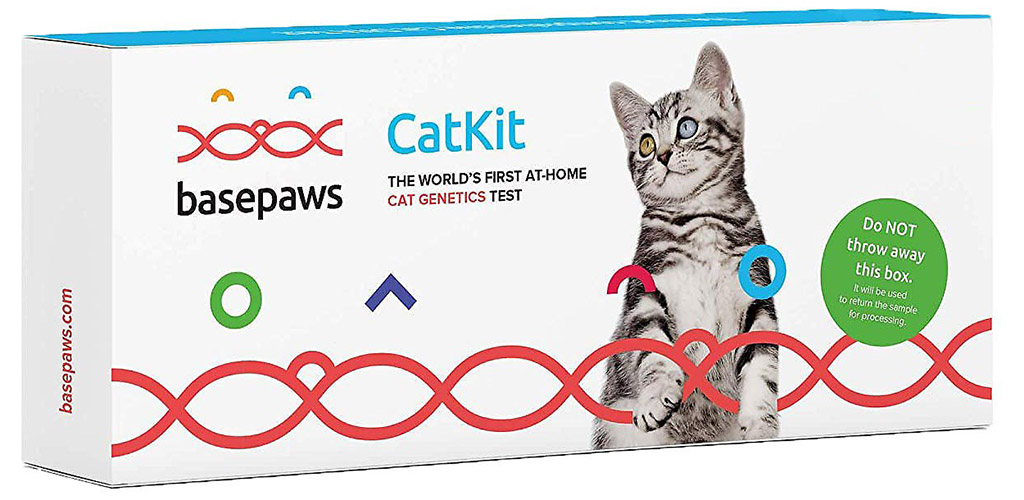 Chewy Basepaws Breed + Health DNA Test for Cats